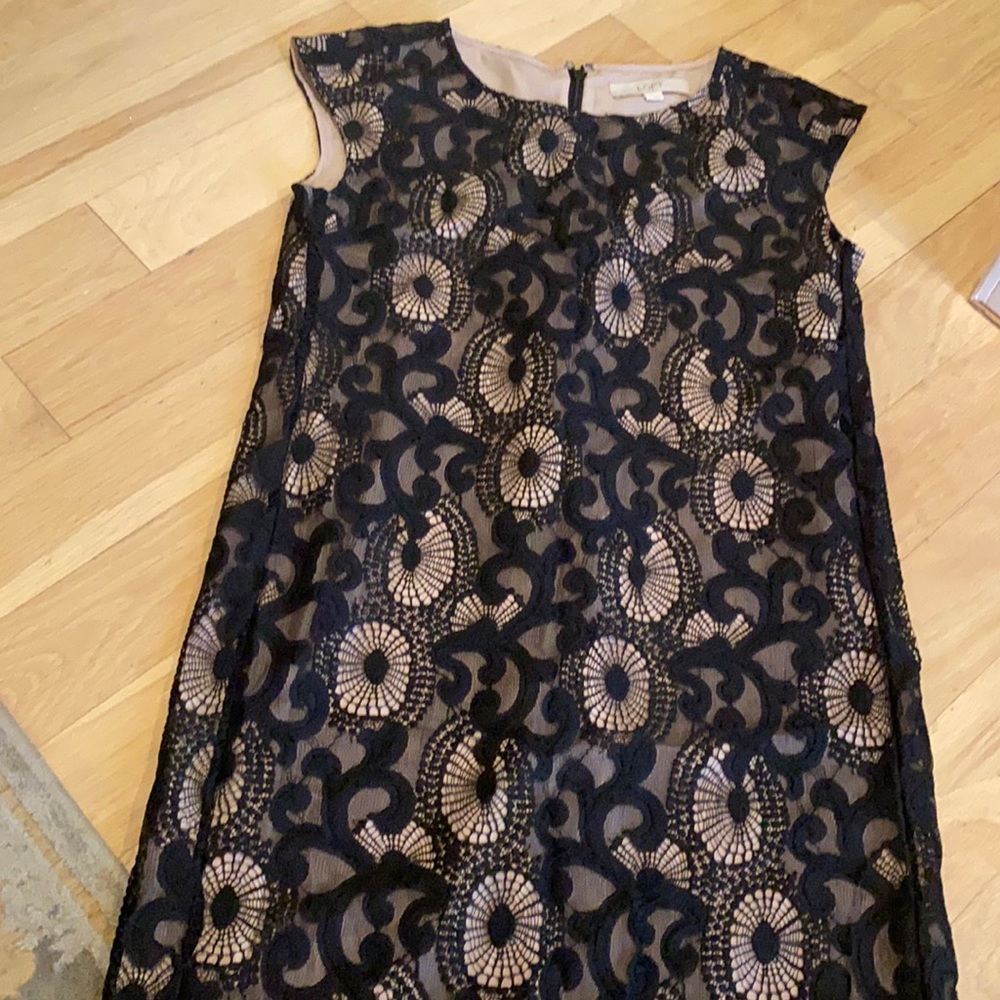 Loft Lace dress